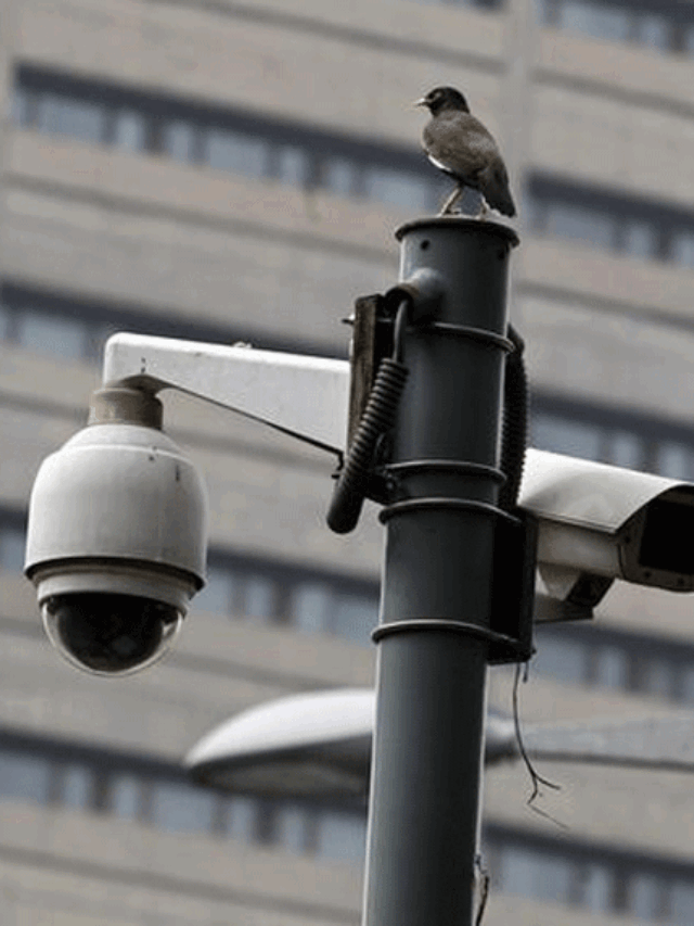 California to introduce traffic speed cameras which fine motorists for the first time ever